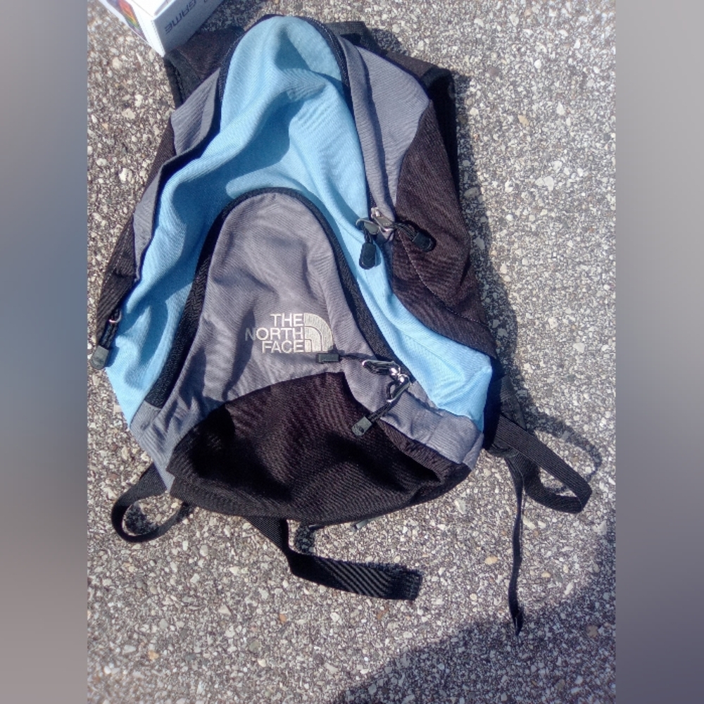 The North Face Pandora mini backpack